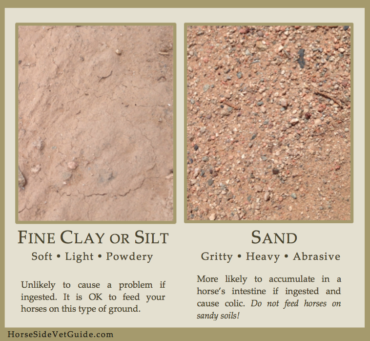 Sand vs. Silt - Do Not Let Your Horse Eat Sand!