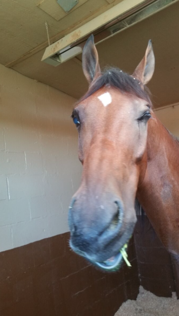 Facial Nerve Paralysis